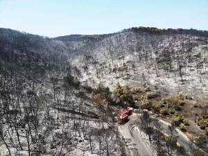 MUĞLA (AA) – Muğla'nın Milas ilçesinde çıkan yangından zarar gören