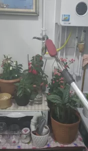 ORDU (AA) – Ordu'nun Altınordu ilçesinde deniz kenarında piknik yapan