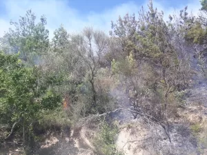 OSMANİYE (AA) – Osmaniye'nin Sumbas ilçesinde çıkan orman yangını kontrol