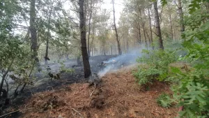 OSMANİYE (AA) – Osmaniye'nin Düziçi ilçesinde çıkan orman yangınına havadan