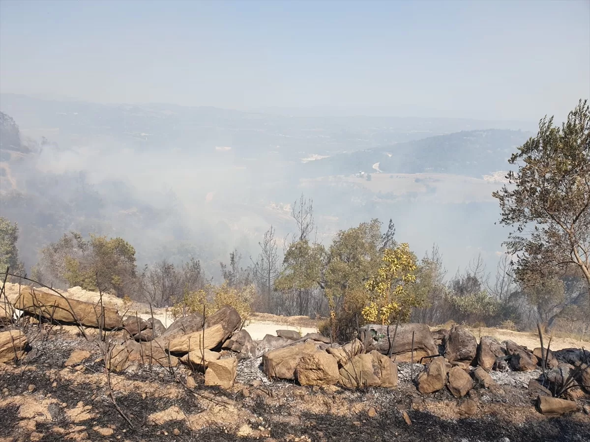GÜNCELLEME – Osmaniye'de orman yangını çıktı