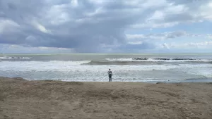 SAKARYA (AA) – Sakarya'nın Karadeniz'e kıyısı olan Karasu ve Kocaali