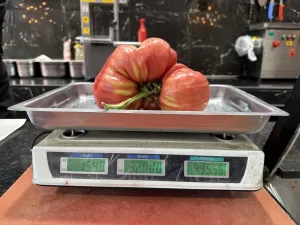 SAKARYA (AA) – Sakarya'nın Akyazı ilçesinde seracılık yapan Tayyip Sayılı,