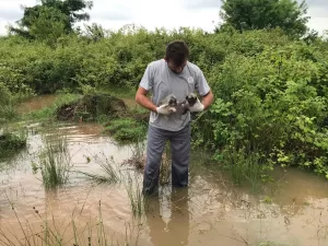 SAKARYA (AA) – Sakarya'nın Karasu ilçesinde etkili olan sağanak sonrası