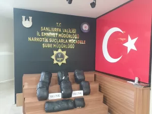 ŞANLIURFA (AA) – Şanlıurfa'da 32 kilo 660 gram skunk ele
