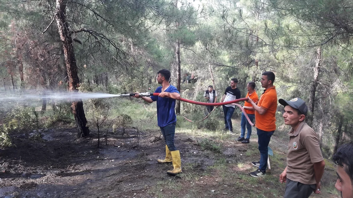 Sinop'ta yıldırım düşen ormanda çıkan yangın büyümeden söndürüldü