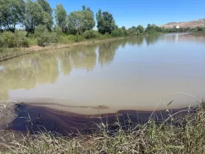 - "Zift türü atık malzemenin Aksu Parkı devamı olan dereden