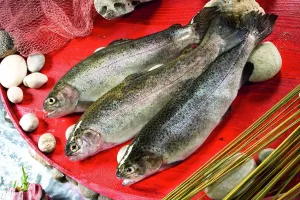 İZMİR (AA) – Türkiye, ocak-haziran döneminde su ürünleri ihracatından 829