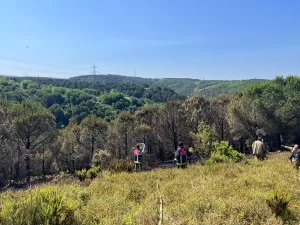 İSTANBUL (AA) – Sultangazi'de ormanlık alanda çıkan yangına helikopter desteğiyle