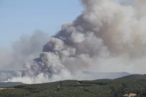 TEKİRDAĞ (AA) – Tekirdağ Malkara ilçesinde ormanlık alanda çıkan yangına