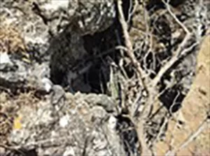 ANKARA (AA) – Komandolar, terör örgütü PKK'nın, Irak'ın kuzeyindeki Zap'ta