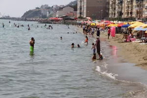 EDİRNE (AA) – Edirne, Kırklareli ve Tekirdağ'da son 2 günde