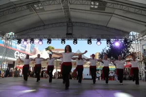 EDİRNE (AA) – Uluslararası Edirne 3. Balkan Folklor Festivali, Türkiye
