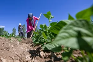 VAN (AA) – EMRE ILIKAN – Van'ın Gevaş ilçesinde "Ahtamara"