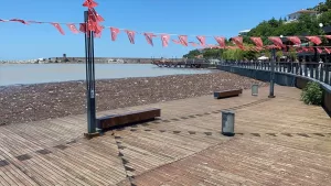 ZONGULDAK (AA) – Zonguldak'ta sağanağın ardından denize sürüklenen atıklar liman