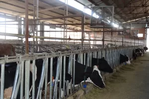 ADIYAMAN (AA) – Adıyaman'da 40 derecenin üzerine çıkan sıcaktan bunalan