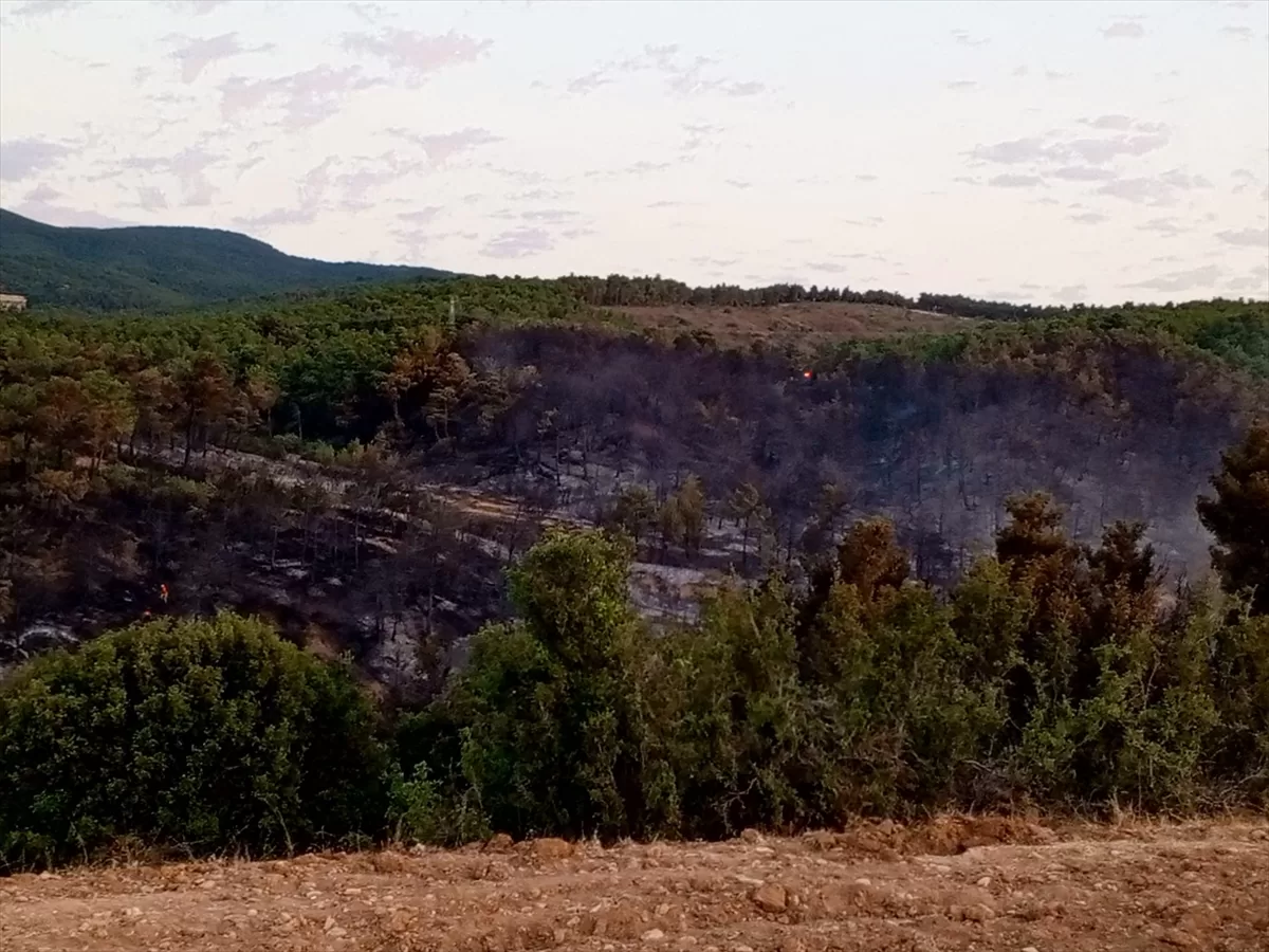 GÜNCELLEME 2 – Afyonkarahisar'da çıkan orman yangını söndürüldü