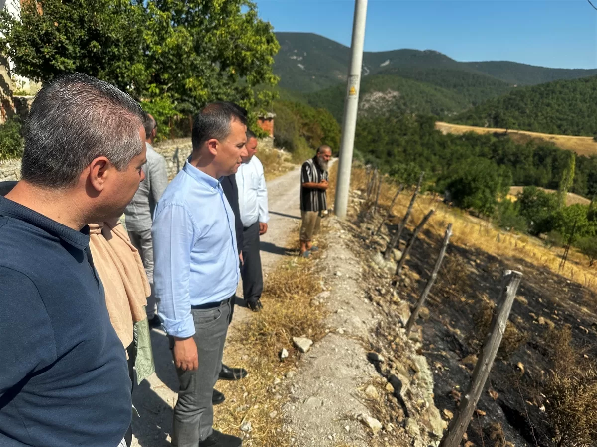 AK Parti Genel Sekreteri Şahin, Çanakkale'de yangın bölgesinde incelemelerde bulundu