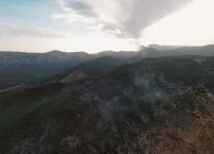 ANTALYA (AA) – Antalya'nın Akseki ilçesinde çıkan yangında zarar gören