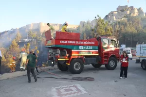 - Yangında 75 dekar ormanlık alan zarar gördü