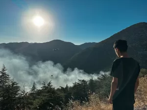 ANTALYA (AA) – Antalya'nın Akseki ilçesinde çıkan orman yangınında yaklaşık