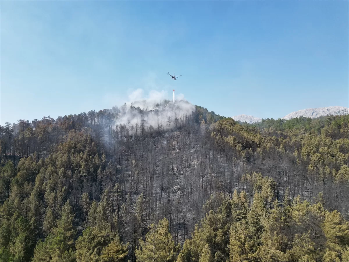 Antalya'nın Akseki ilçesindeki orman yangını kontrol altına alındı