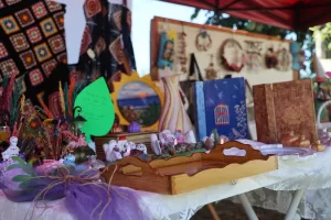 SAKARYA (AA) – Sakarya'nın Kocaali ilçesinde yaklaşık 30 yıldır atık