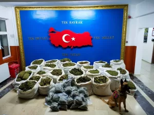 - Genç ilçesi kırsalında gerçekleştirilen operasyonda 73 kilogram toz ve