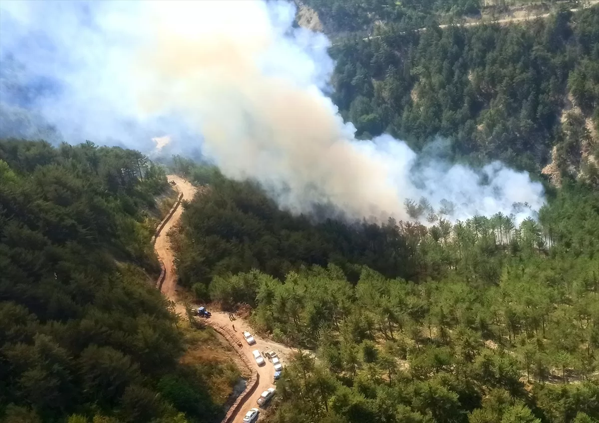 Bolu'da çıkan orman yangınına müdahale ediliyor
