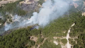 BOLU (AA) – Bolu'nun Göynük ilçesinde çıkan orman yangınlarının söndürülmesi