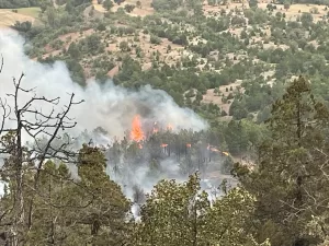 VALİLİK AÇIKLAMASI EKLENDİ