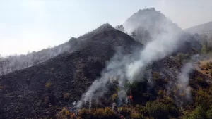 ÇANKIRI (AA) – Çankırı’da ormanlık alanda çıkan yangın kontrol altına