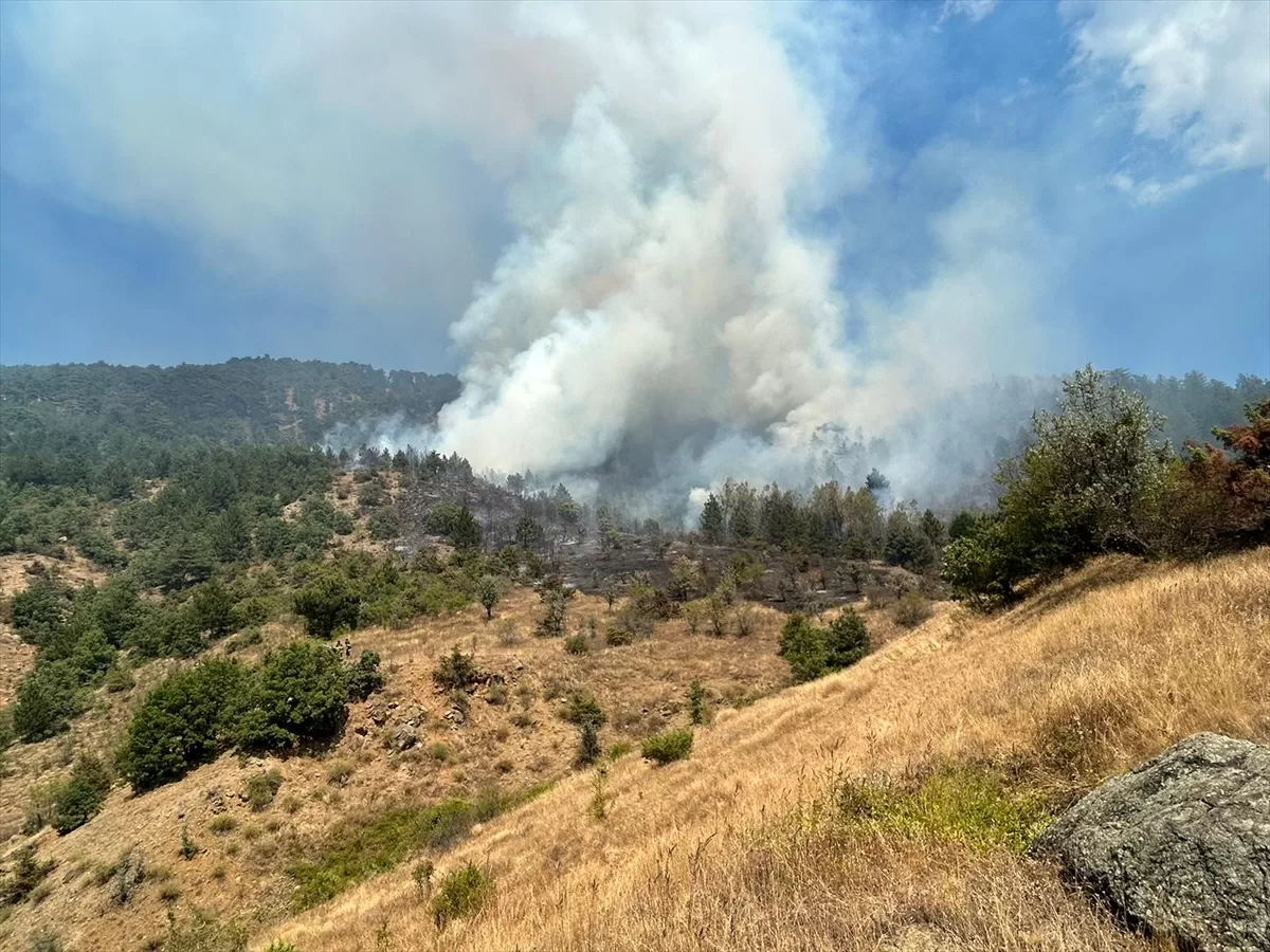 ÇANKIRI (AA) – Çankırı'nın Ilgaz ilçesinde çıkan orman yangınına müdahale