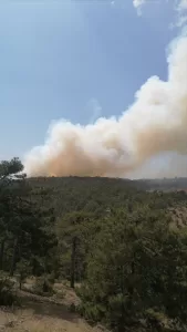 DENİZLİ (AA) – Denizli'nin Acıpayam ilçesinde çıkan orman yangınına karadan