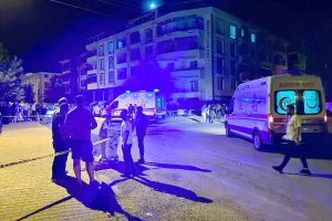 ELAZIĞ (AA) – Elazığ'ın Palu ilçesinde çıkan bıçaklı satırlı kavgada