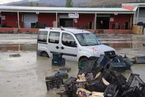 ERZİNCAN/IĞDIR (AA) – Erzincan ile Iğdır'da etkili olan sağanak, kırsal