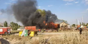 ERZURUM (AA) – Erzurum'un Karayazı ilçesinde bir evin çatısından çıkan