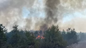 ESKİŞEHİR (AA) – Eskişehir'in Seyitgazi ilçesinde çıkan orman yangını karadan