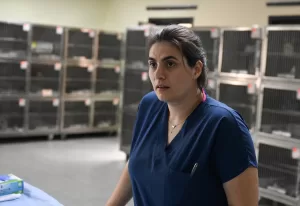 - Bir şüphelinin üzerlerine asit ve kezzap dökmesi sonucu yaralanan