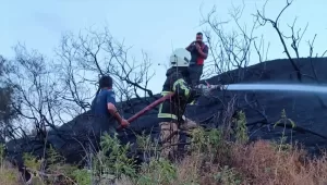 HATAY (AA) – Hatay'ın Samandağ ilçesinde ağaçlık ve makilik alanda
