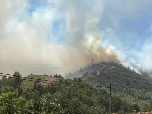 HATAY (AA) – Hatay'ın merkez Antakya ilçesinde çıkan orman yangınına