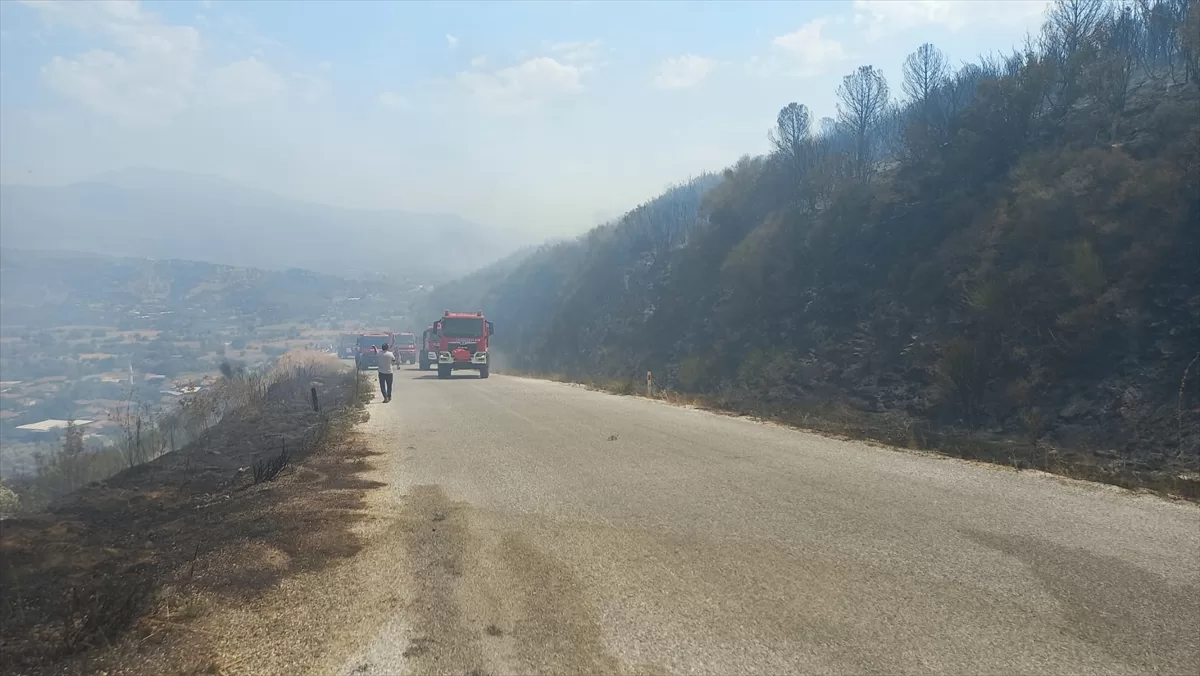 İzmir'de çıkan orman yangınına müdahale ediliyor