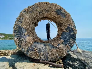 KOCAELİ (AA) – İzmit Körfezi'nde biyolojik çeşitliliğin korunması çalışmaları kapsamında,