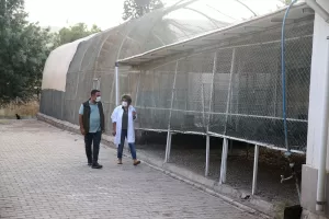 KAHRAMANMARAŞ (AA) – GÖKHAN ÇALI/ÖMER FARUK SALMAN – "Asrın felaketi"