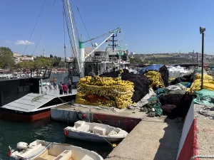 TEKİRDAĞ (AA) – Karadeniz Bölgesi'ndeki bazı illerden av sezonunda teknelerde