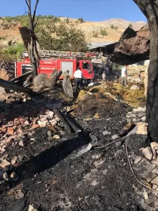 - Elazığ'ın Arıcak ilçesinde çıkan yangında bir inek kurtarıldı, bir