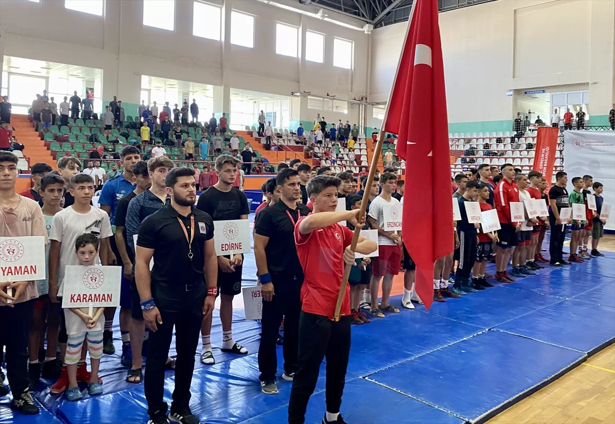 Kırşehir'de ANALİG Güreş Türkiye Birinciliği müsabakaları başladı