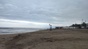 KOCAELİ/SAKARYA (AA) – Kocaeli'nin Kandıra ilçesinde bazı plajlarda bugün ve