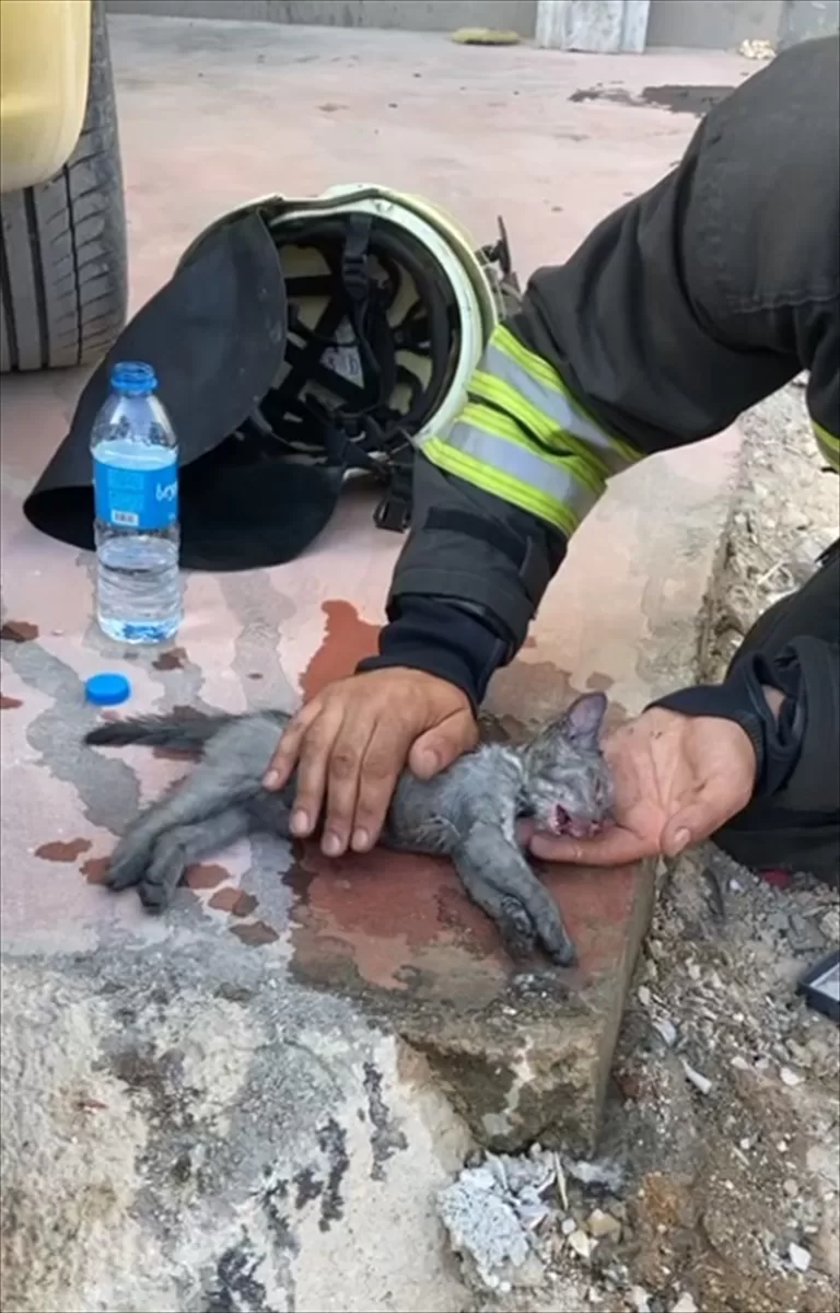 Konya'da itfaiye ekipleri yangından kurtardığı yavru kediyi suni teneffüsle hayata döndürdü