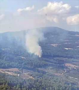 MANİSA (AA) – Manisa'nın Kırkağaç ilçesindeki çıkan orman yangınına havadan